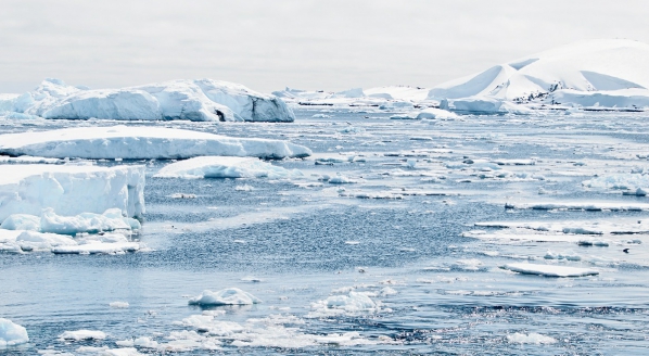 Image for Google’s camp on climate change confirms many of our fears