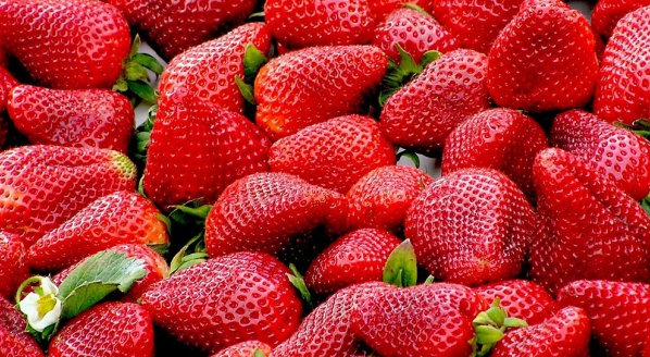Image for What can we learn from a seedless strawberry? 