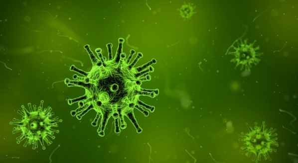 Image for Coronavirus update from Italy