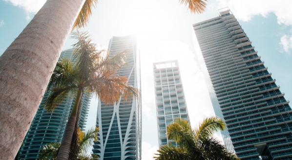 Image for From Manhattan to Miami
