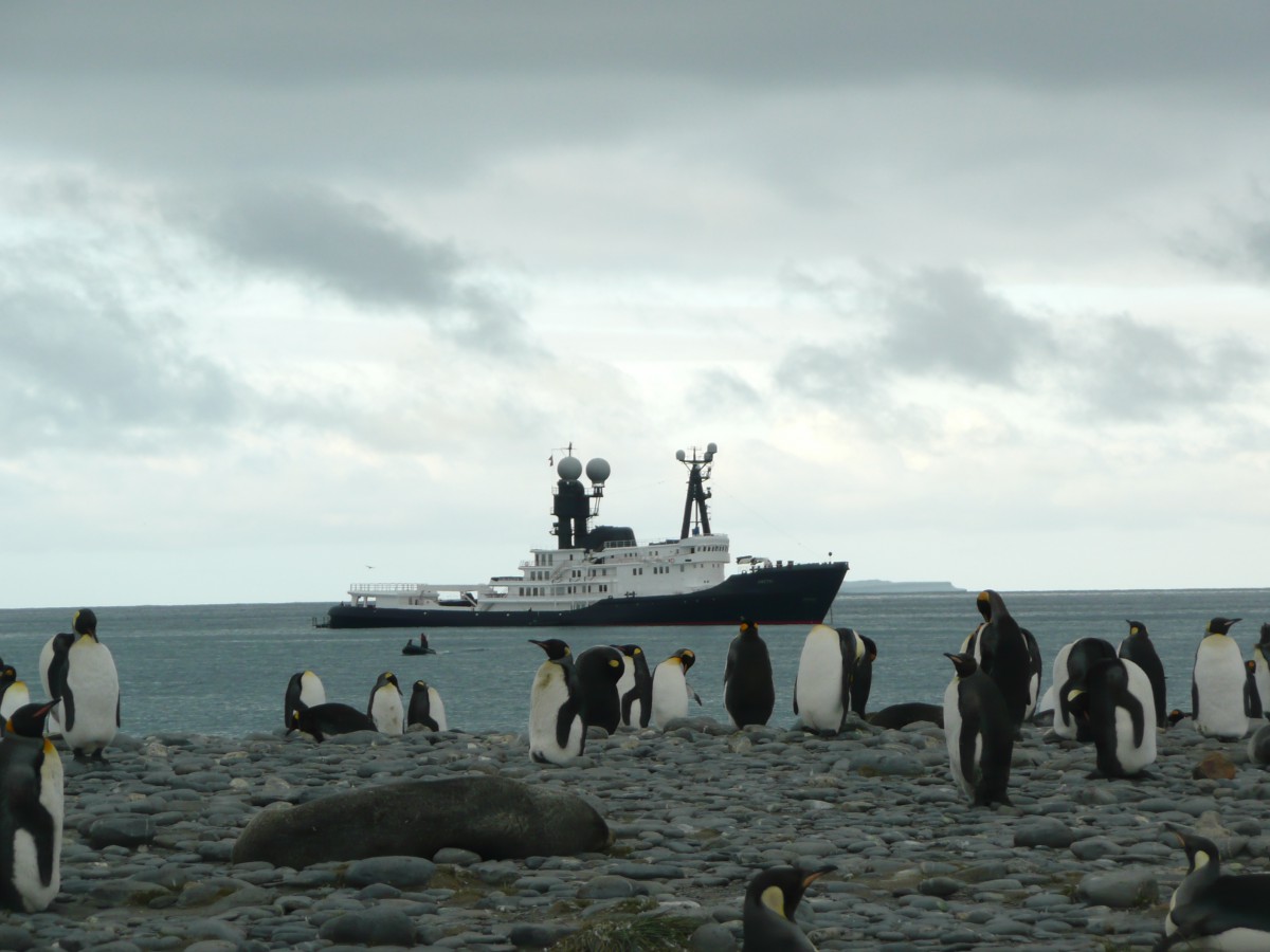 superyacht in antarctica