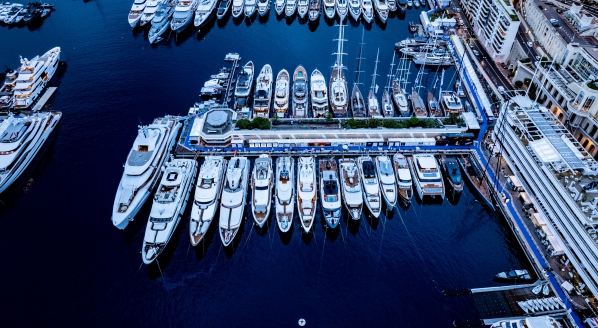 Image for A view from Port Hercule