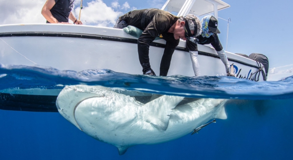Image for Yachties with a cause &ndash; YachtAid Global 