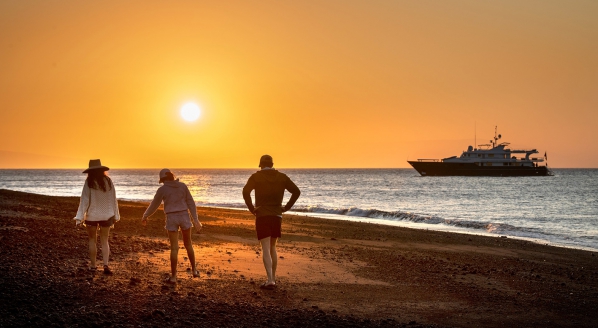 Image for Destination unknown
