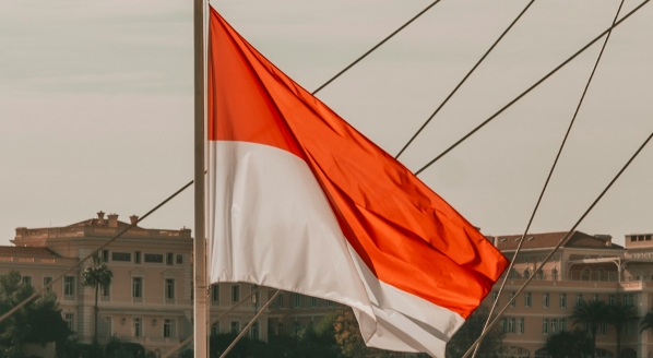 The Monaco flag myth - Superyacht News