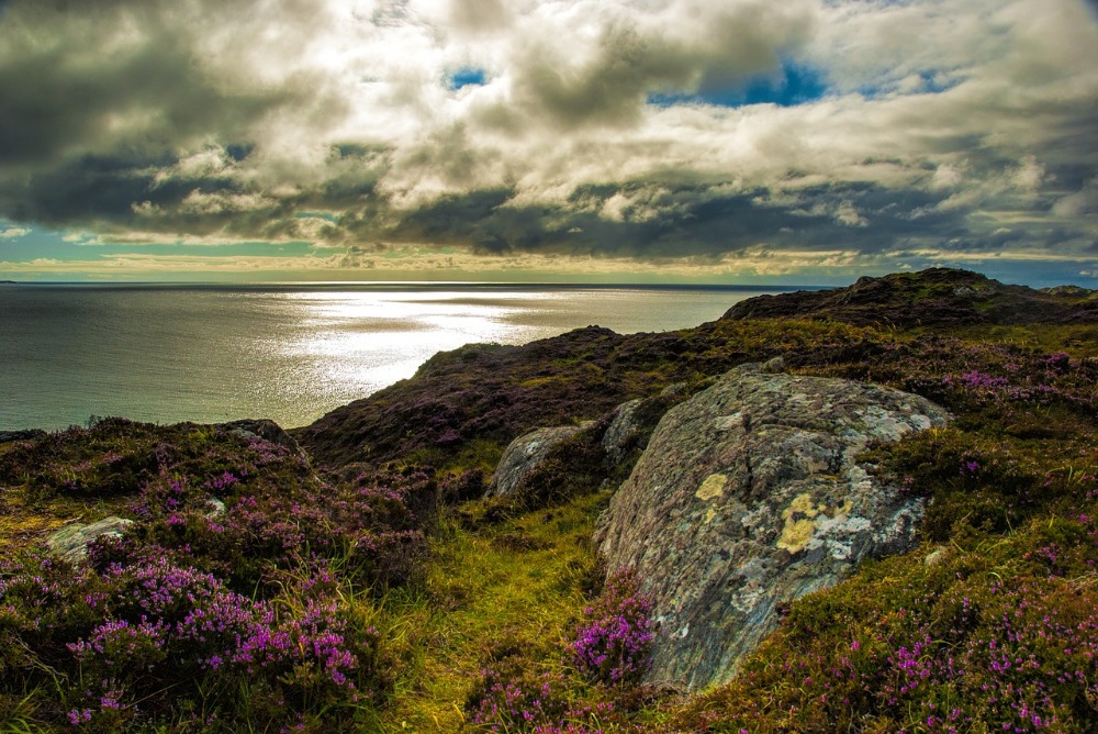 Image for article New Marine Protected Areas proposed in Scotland