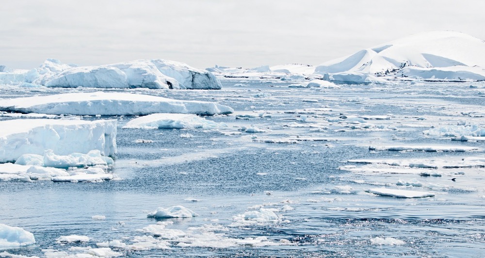 Image for article Google’s camp on climate change confirms many of our fears