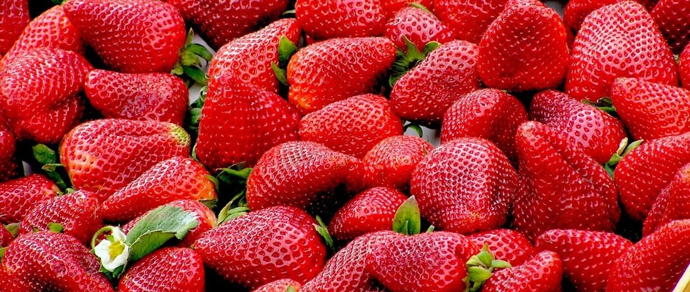 Superyachtnews Com Opinion What Can We Learn From A Seedless Strawberry