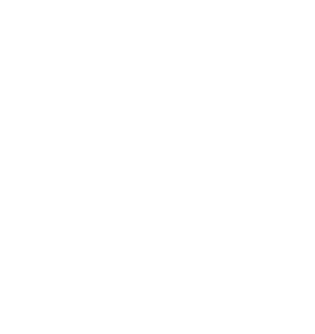 Blohm+Voss