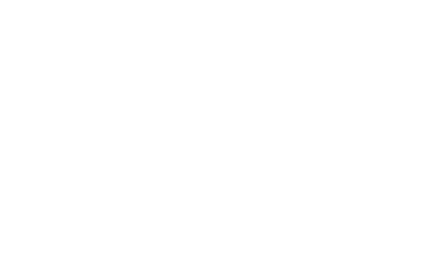 Camper & Nicholsons International